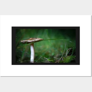 Mushroom with a Blade of Grass Posters and Art
